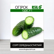 Насіння огірка ОДІС F1, 0,5 кг